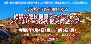 ʥ饤