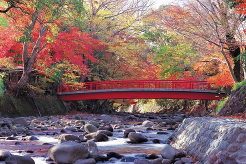 修善寺の紅葉　写真提供静岡県観光協会